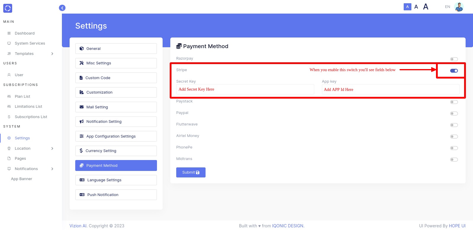 Vizion AI - Stripe Payment Setting